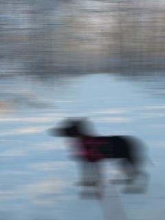 Image with horizontal blur using window = 33