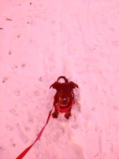 “Red-shifted” image